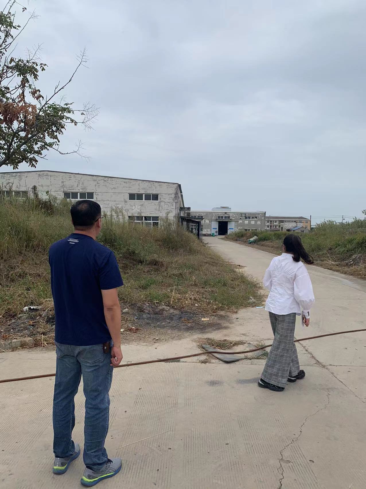意明地块现场勘查照片