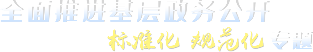 全面推进基层政务公开标准化规范化专题