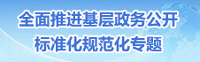 全面推进基层政务公开标准化规范化专题