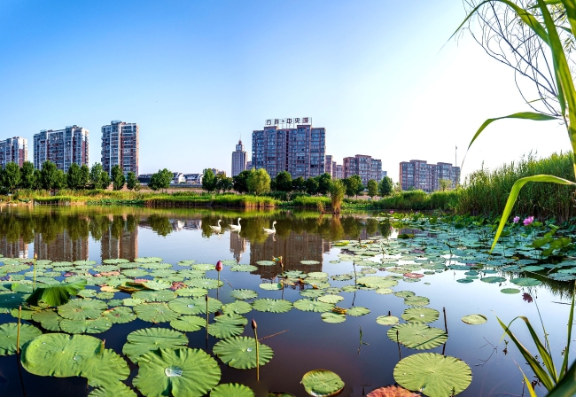 图说怀远_怀远县人民政府