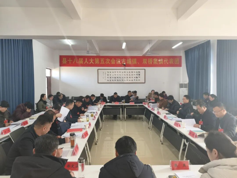 潘君齐、高东升、陈照祥、李险峰、张亮等领导同志参加人大代表团和政协界别讨论