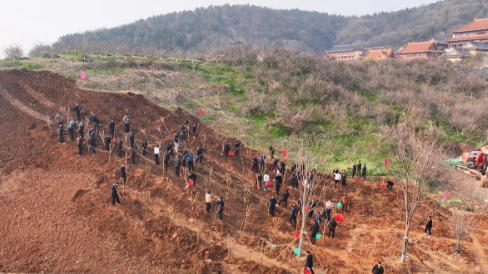 怀远县开展2026年度义务植树活动
