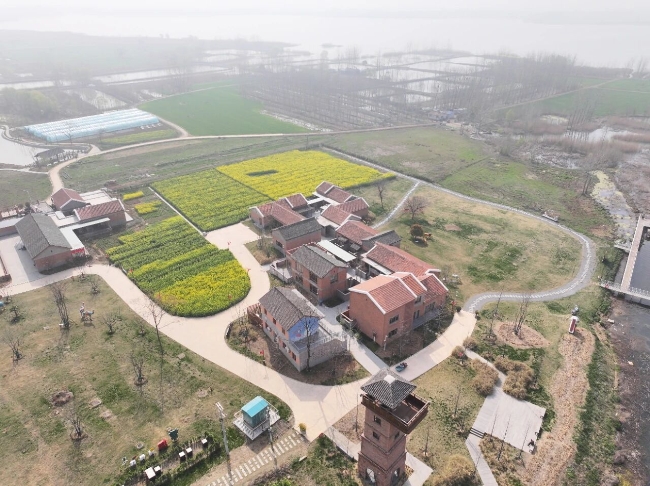 怀远：桃花红油菜黄 春色灿烂醉游人