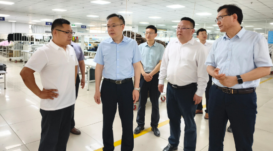 李波调研淝南镇重点工作