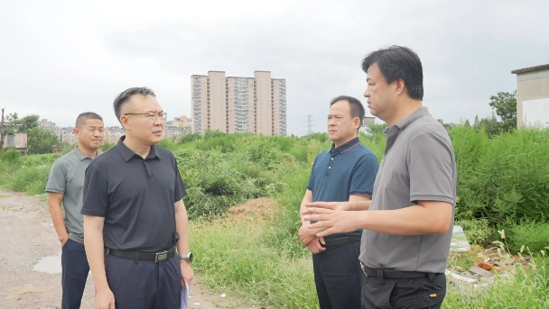 李波调研市政基础设施建设工作