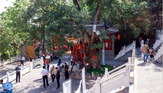 图说怀远 | “五一”首日 白乳泉风景区游人如织